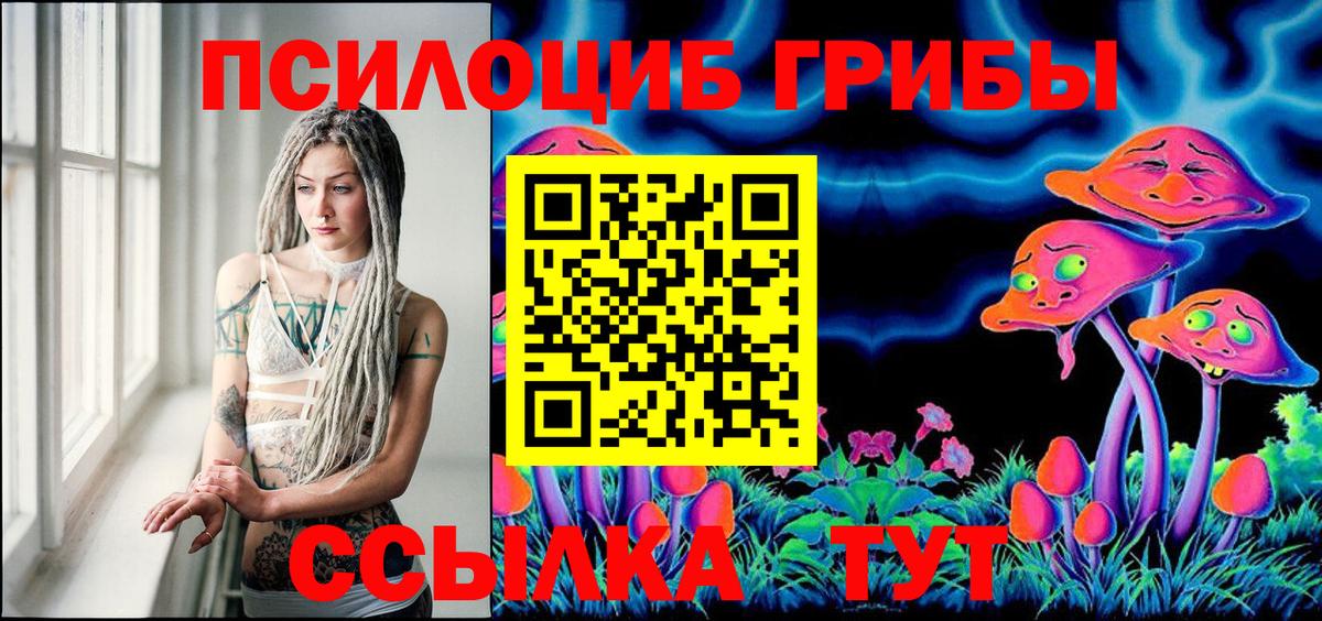 Галлюциногенные грибы Psilocybine cubensis Миллерово